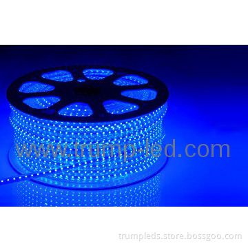 DELIXI High Voltage LED Strip Light